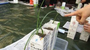 京都橘大学平賀緑ゼミ×中嶋農園「持続可能な農業と小さな菜園体験」