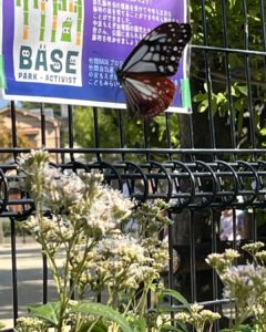 中京区・竹間学区「竹間公園が育むエコの芽・まちの芽」